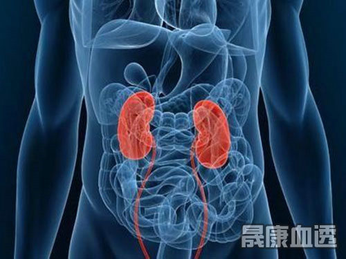 慢性肾脏疾病
