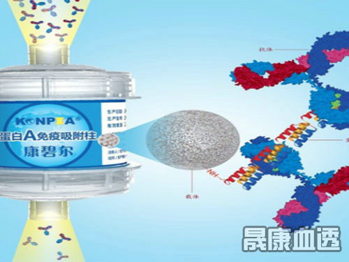 免疫吸附 免疫吸附